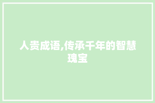 人贵成语,传承千年的智慧瑰宝 特写稿