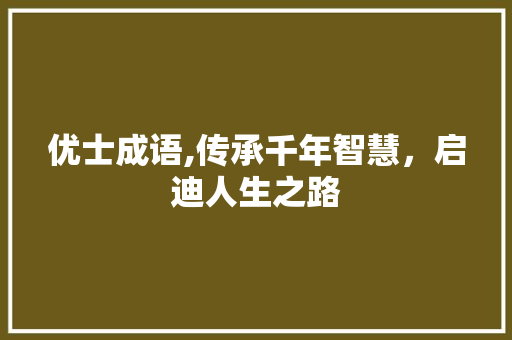 优士成语,传承千年智慧，启迪人生之路