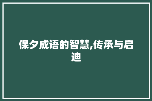 保夕成语的智慧,传承与启迪