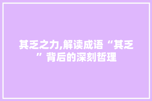 其乏之力,解读成语“其乏”背后的深刻哲理