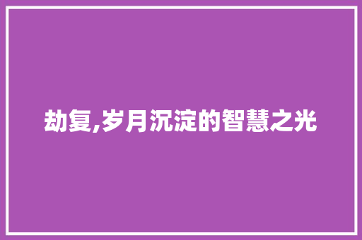 劫复,岁月沉淀的智慧之光