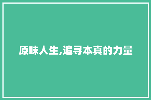 原味人生,追寻本真的力量