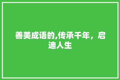 善美成语的,传承千年，启迪人生