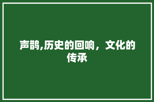 声鹊,历史的回响，文化的传承