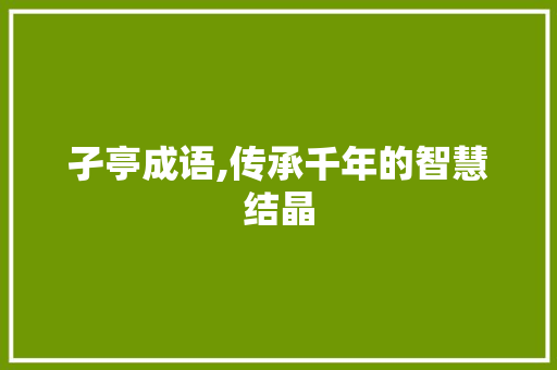 孑亭成语,传承千年的智慧结晶
