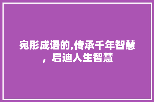 宛彤成语的,传承千年智慧，启迪人生智慧