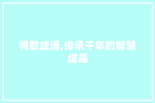 将散成语,传承千年的智慧结晶