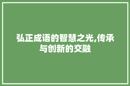 弘正成语的智慧之光,传承与创新的交融