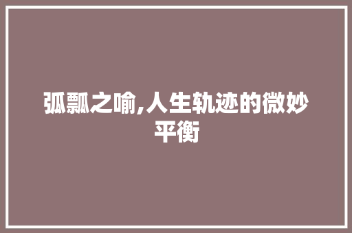 弧瓢之喻,人生轨迹的微妙平衡