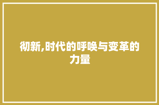 彻新,时代的呼唤与变革的力量