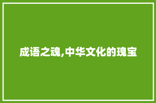 成语之魂,中华文化的瑰宝 工作报告
