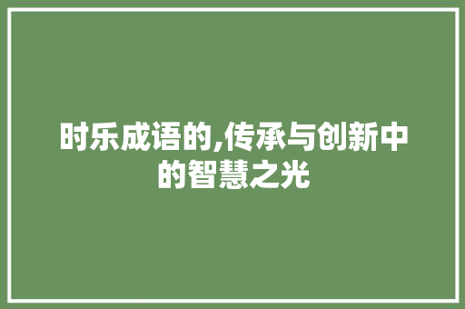 时乐成语的,传承与创新中的智慧之光