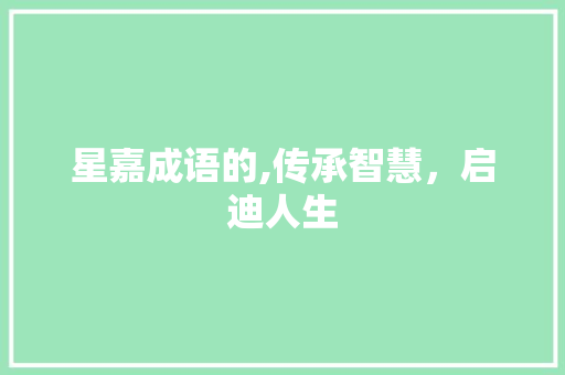 星嘉成语的,传承智慧，启迪人生