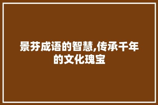 景芬成语的智慧,传承千年的文化瑰宝