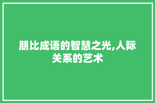 朋比成语的智慧之光,人际关系的艺术