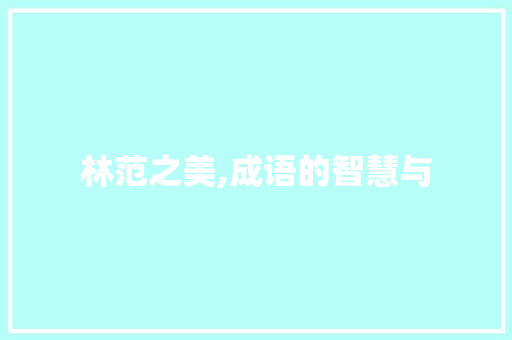 林范之美,成语的智慧与