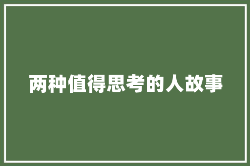 综合调研计划,助力企业洞察市场，引领未来发展战略