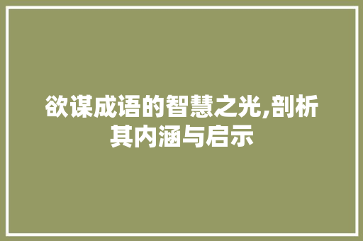 欲谋成语的智慧之光,剖析其内涵与启示