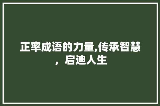 正率成语的力量,传承智慧，启迪人生