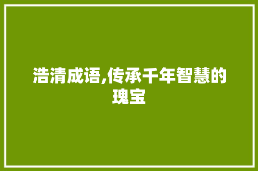 浩清成语,传承千年智慧的瑰宝