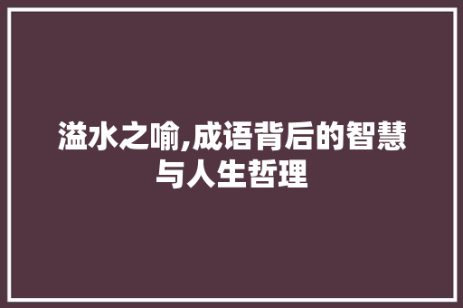 溢水之喻,成语背后的智慧与人生哲理