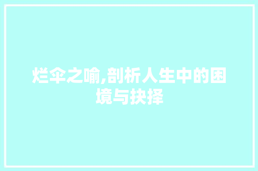 烂伞之喻,剖析人生中的困境与抉择