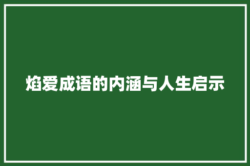焰爱成语的内涵与人生启示