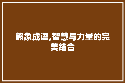 熊象成语,智慧与力量的完美结合