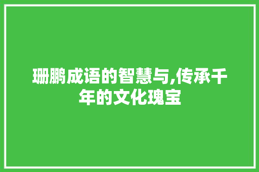 珊鹏成语的智慧与,传承千年的文化瑰宝