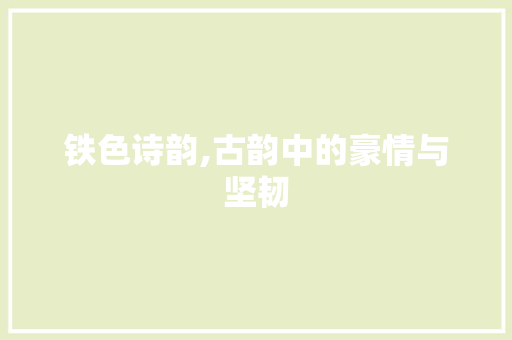 铁色诗韵,古韵中的豪情与坚韧