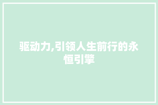 驱动力,引领人生前行的永恒引擎