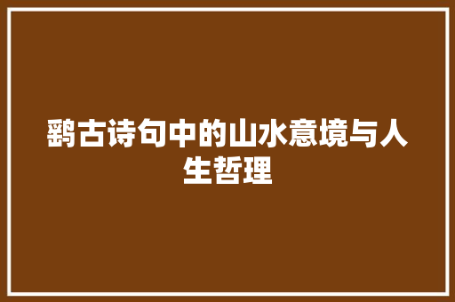 鹞古诗句中的山水意境与人生哲理