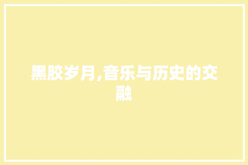 黑胶岁月,音乐与历史的交融