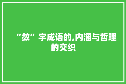 “敛”字成语的,内涵与哲理的交织 工作总结