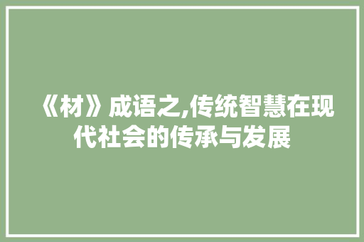 《材》成语之,传统智慧在现代社会的传承与发展