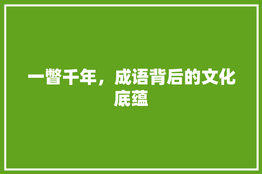 一瞥千年，成语背后的文化底蕴 工作报告