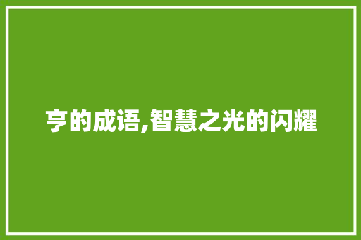 亨的成语,智慧之光的闪耀