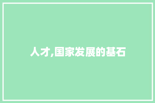 人才,国家发展的基石