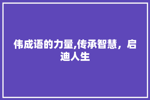 伟成语的力量,传承智慧，启迪人生