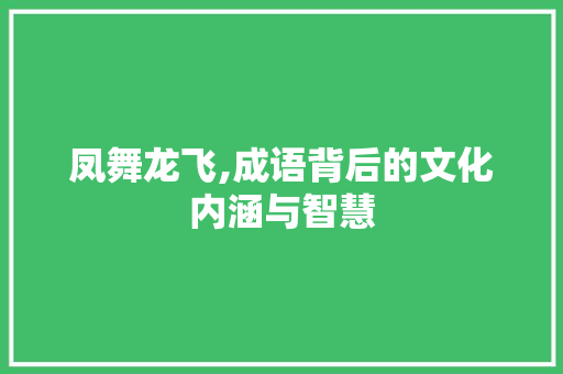 凤舞龙飞,成语背后的文化内涵与智慧