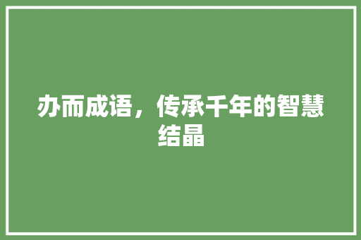 办而成语，传承千年的智慧结晶