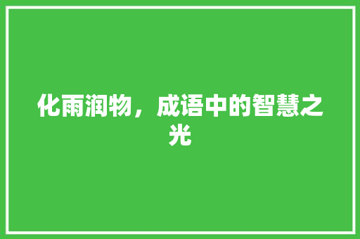 化雨润物，成语中的智慧之光 工作报告