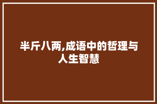 半斤八两,成语中的哲理与人生智慧