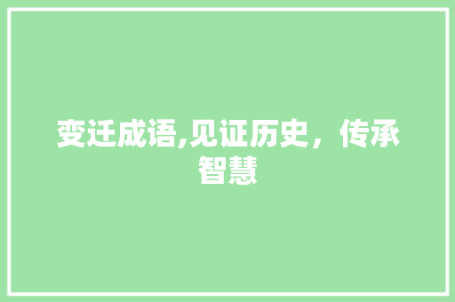 变迁成语,见证历史，传承智慧