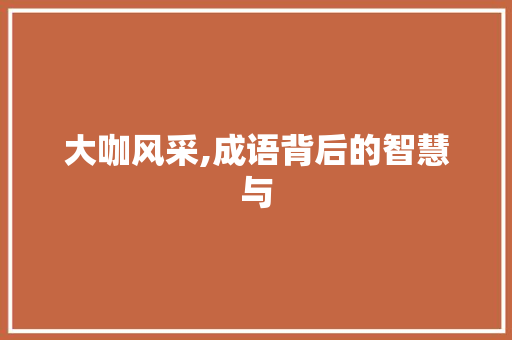 大咖风采,成语背后的智慧与