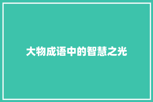 大物成语中的智慧之光