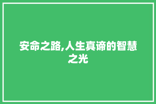 安命之路,人生真谛的智慧之光
