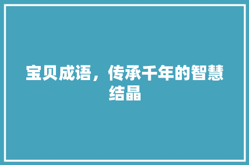宝贝成语，传承千年的智慧结晶