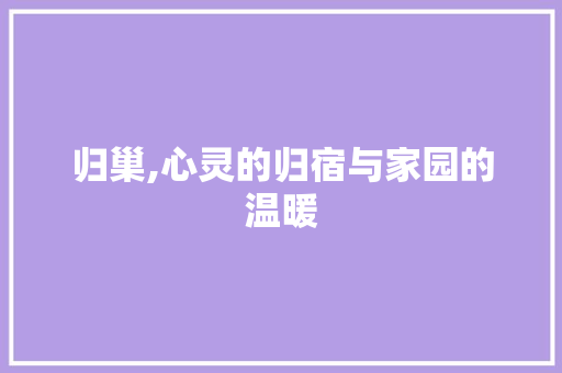 归巢,心灵的归宿与家园的温暖