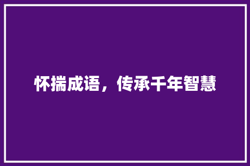 怀揣成语，传承千年智慧